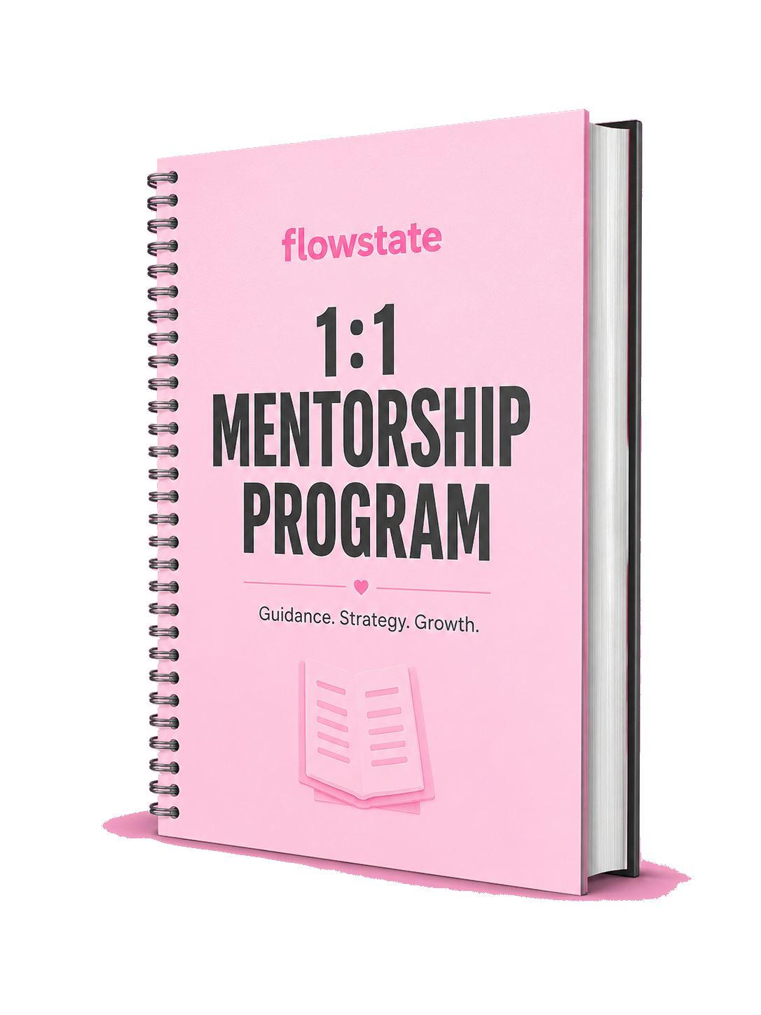 1:1 Mentorship Program